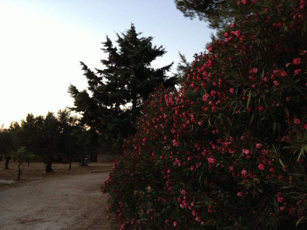 La Giara San Vito Lo Capo Villa Castelluzzo Eksteriør billede