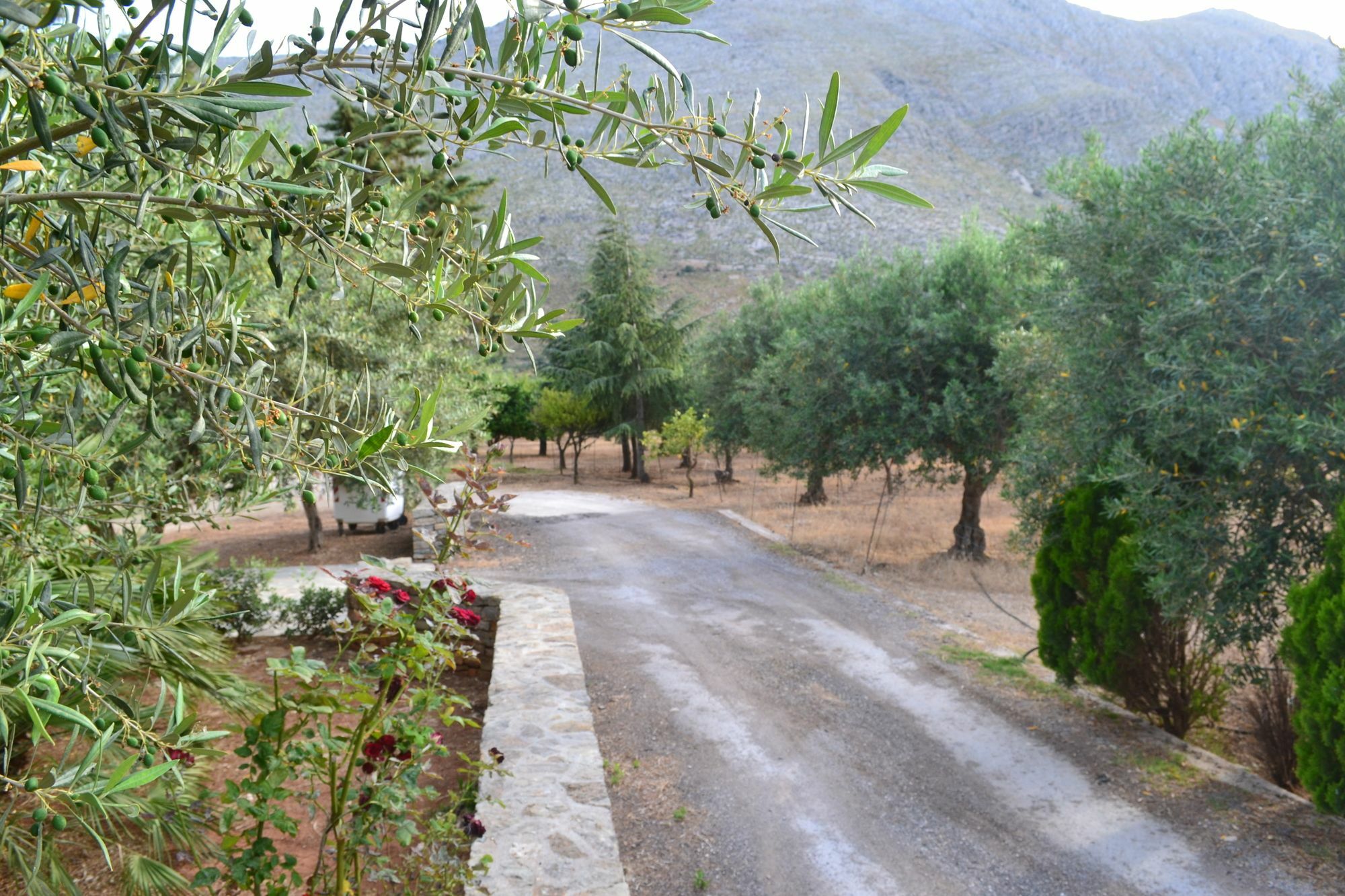 La Giara San Vito Lo Capo Villa Castelluzzo Eksteriør billede